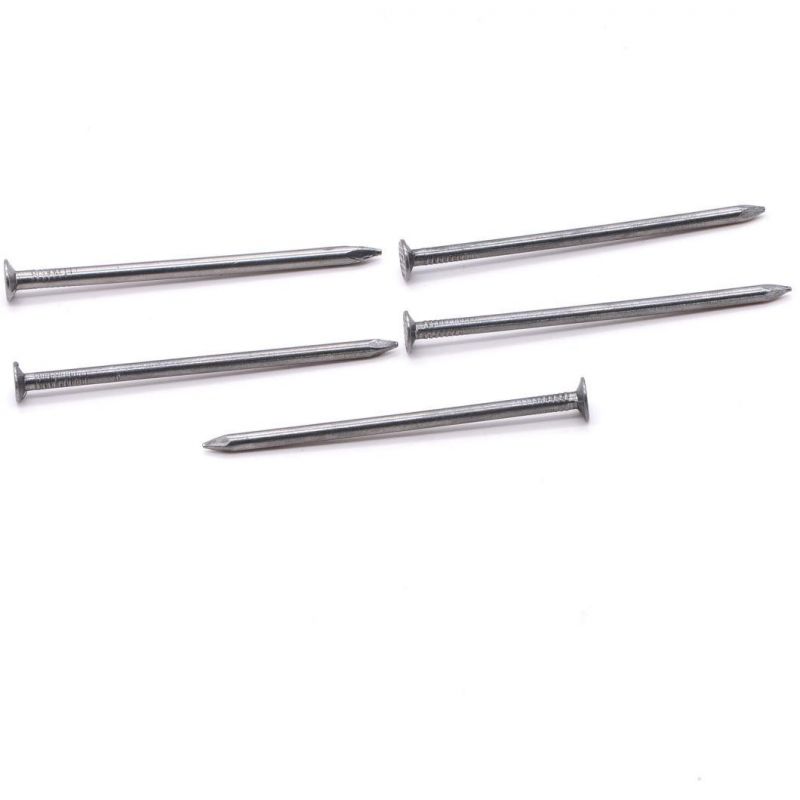 Nigeria Angola Zambia Namibia Market/Low Price Polished Common Nails /Iron Nail /Wire Nail Factory Made in China
