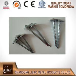 2-1/2&quot; Bwg9 Galvanized Roofing Nail with Umbrella Head