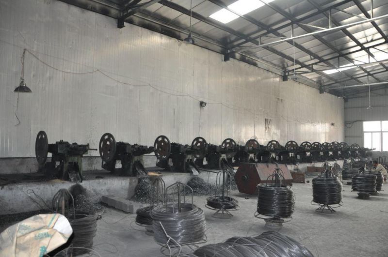 Common Wire Nails Polybag Packing China Wholesale Iron Nails