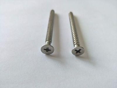 Stainless Steel/4.8/8.8/10.9 Galvanized Self-Tapping Screw for Bridge