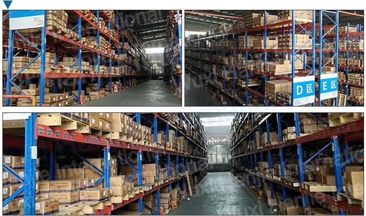 Customized Stainless Steel Hex Socket Cap Head Machine Screws