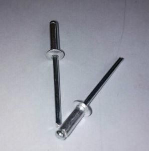 Auto Metal Plastic Rivet