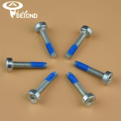 Screw Stainless Steel Screw A2/A4 Screw/Bolts Sealing Bolt
