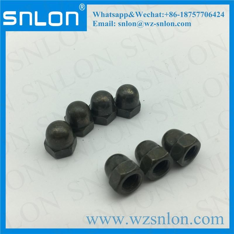 Bolt & Screw Combination Cap Nut