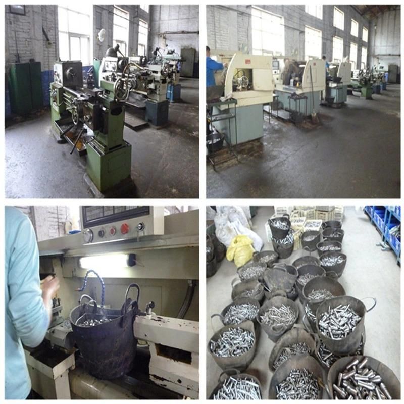Ferrule for PTFE Hose Teflon Hose Ferrule