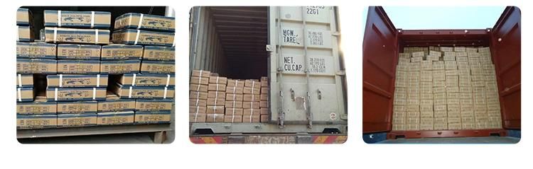 Q195 Iron Wire Common Nail with Factory Price