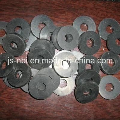 Stainless Steel Gasket for Pipe Fittings