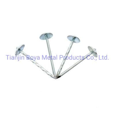 Good Quality Galvanized Umbrealla Head Roofing Nails 25kg Bag