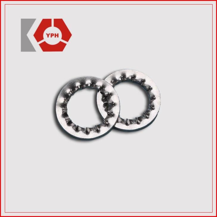 DIN6797 Stainless Steel External/Internal Teeth Lock Washers for Industry