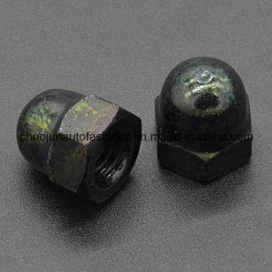 Carbon Steel Hex Nylon Iron Cap Nut (CZ091)