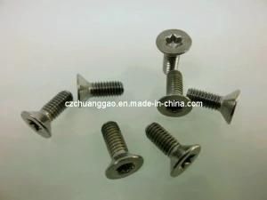 Torx Head Screw M6*13 /M6*20