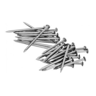 Galvanized Round Wire Steel Loose Nails (25kg)