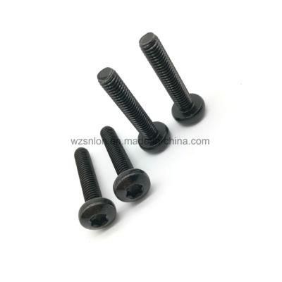 Black Hex Socket Cheese Head/Round Head /Pan Head Machine Bolt