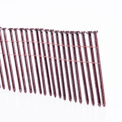 Factory Price High Quality Coated Coil Nails Smooth Shank