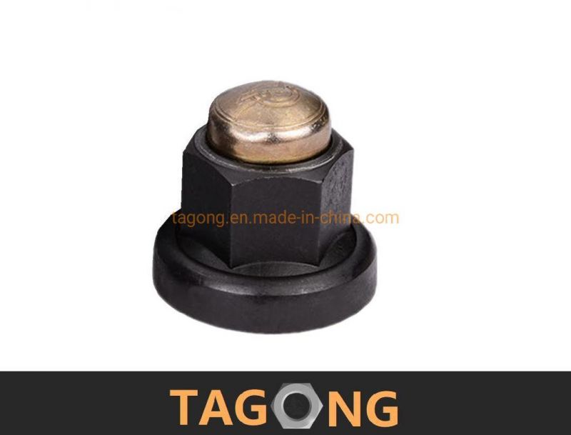 SAE J 483 DIN917 DIN96 DIN1587 Cap Nuts