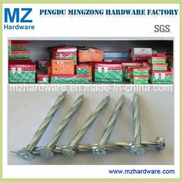 Galvanized Black Concrete Steel Masonry Nail for South Africa