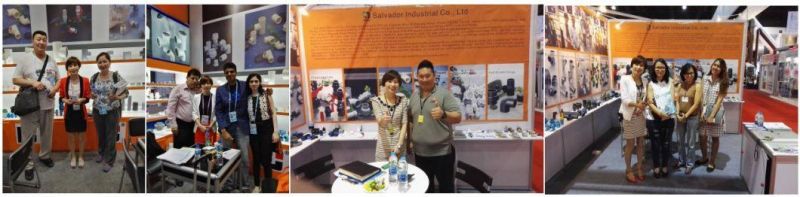 for Chemical Industry Pn16 Working Pressure PVC Vanstone Flange
