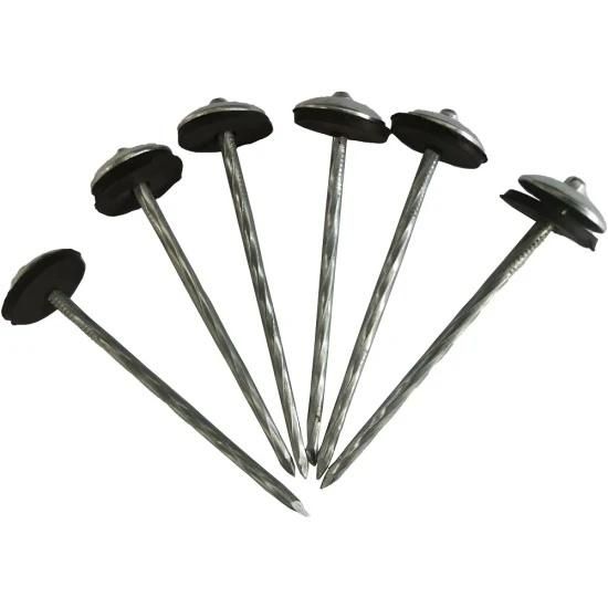 Hot Sale Galvanized Umbrella Roofing Nails Clavo with Rubber Washer in Peru From Tianjin Nail Manufacture