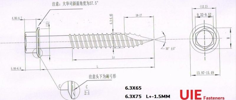 Hex Indent Flange Head Self Tapping Screw Type 17/ Roofing Screw (EPDM Bond Washer Fiji, New Zealand, Australia Market)