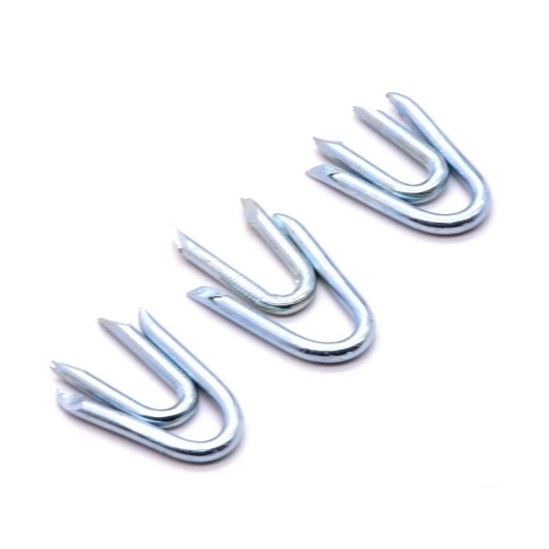 Manufacturer Direct Sale Galvanized U Fence Staple/U Type Nail