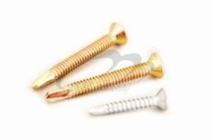 Flat Head Self Dilling Screw (DIN7504P)