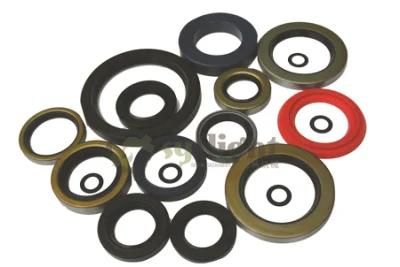 Oil Seals for Auto Parts