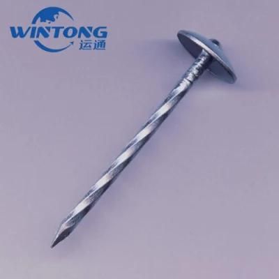 Common Nail/Wire Nails/Coil Nails