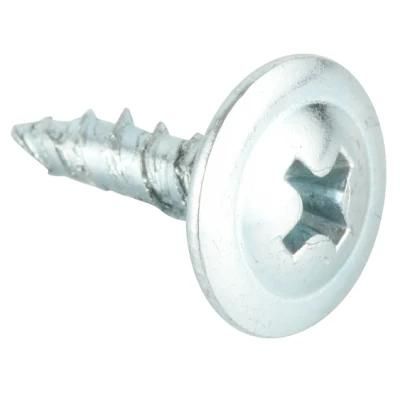 Truss Pan Head Tapping Screw White Zinc