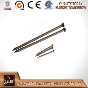Wire Nail/Common Nail Factory