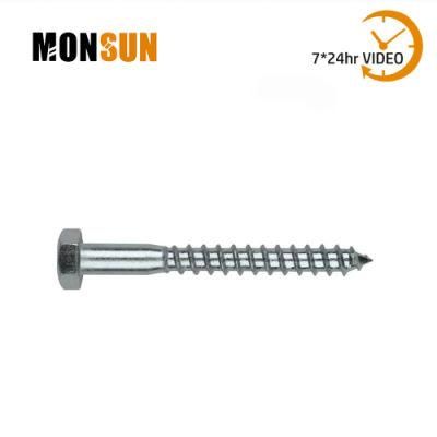 DIN 571 Blue Zinc Plated Galvanised Steel Hexagonal Head Coach Screws for Wood Made in China