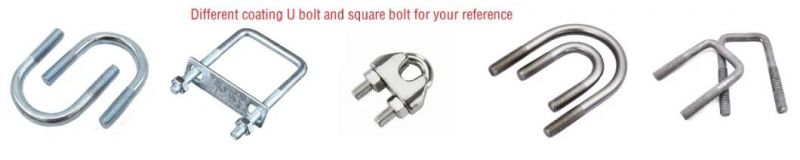 High Tensile Auto Spare Parts U Bolt Square U Bolt