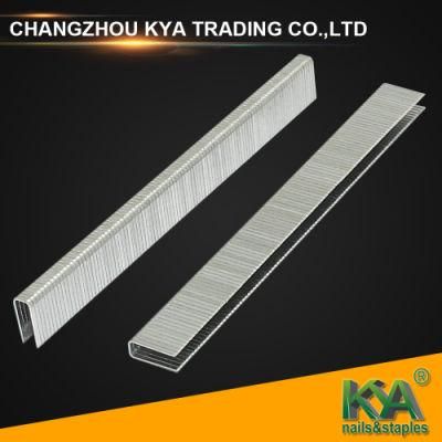 Omer 99 Series Fine Wire Staple