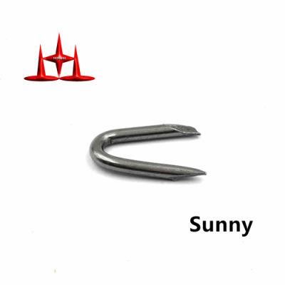 Polished U Type Nail/Best Prices Stainless Steel U Shaped Type Gas Nail for Fence Staples