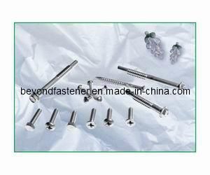 Machine Screw Special Bolts Fastener/Terminal Screw