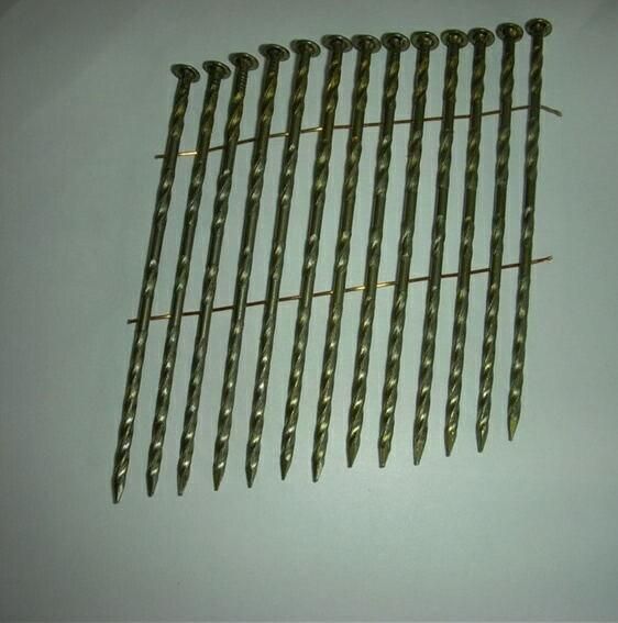 Hot Sale Coil Nail Screw Shank Paint Cheap Price