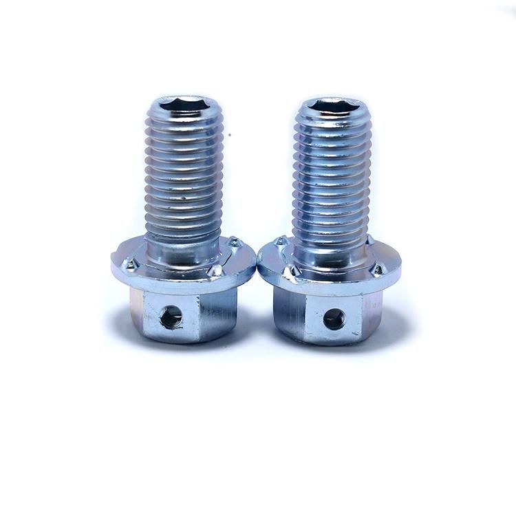 Customized Fastener Galvanized Steel Hollow Bolt Carriage Bolt Door Bolt