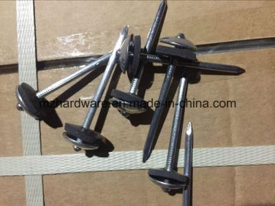 Galvanized Umbrella Head Smooth Shank Roofing Nail with Washer