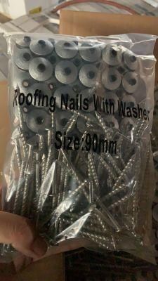 Pirce 90mm X 4.0mm/120mm/75mm Roofing Nails with Plastic Washer