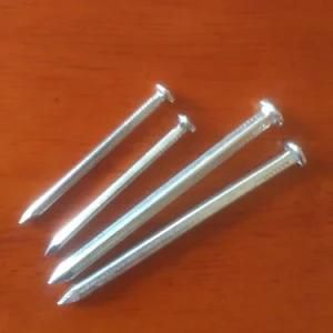 2.5 Inch Galvanized Square Boat Nail