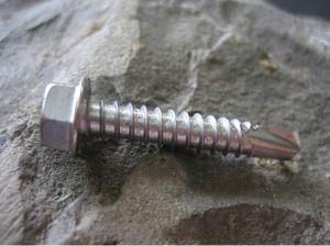 Stainless Steel Self Drilling Screws (SDS410)