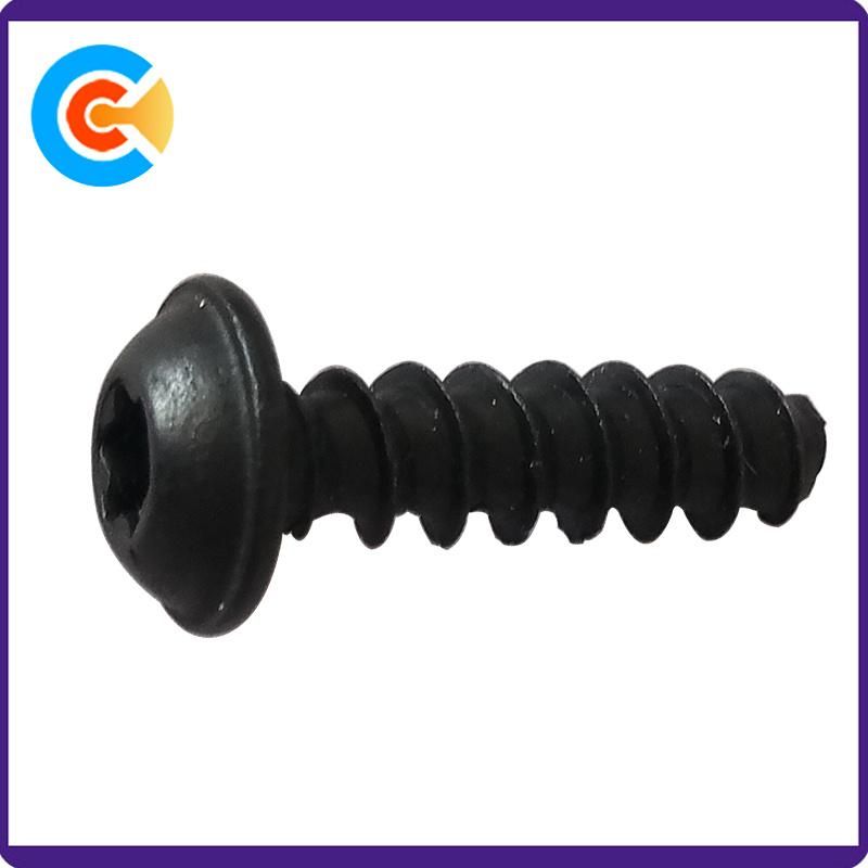 Plating Black Zinc M3*14 Torx Pan Socket Tapping Screw