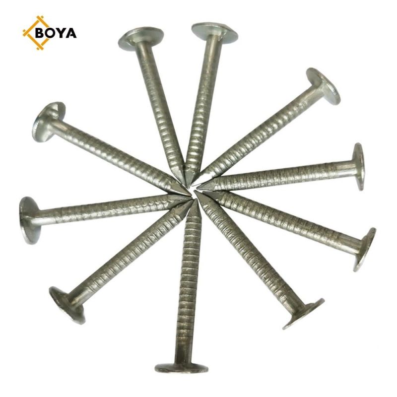 Best Selling Hot Dipped Galvanized Ring Nail with Different Size