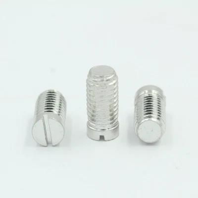 Custom Stainless Steel C-Head Slotted Screw
