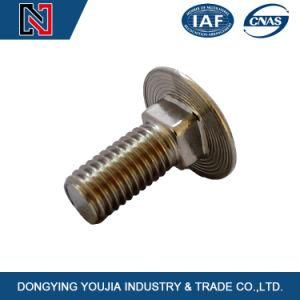 Round Head Bolt with Square Neck