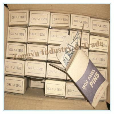 Common Iron Wire Nails/Iron Panel Pins/Nails for Wood