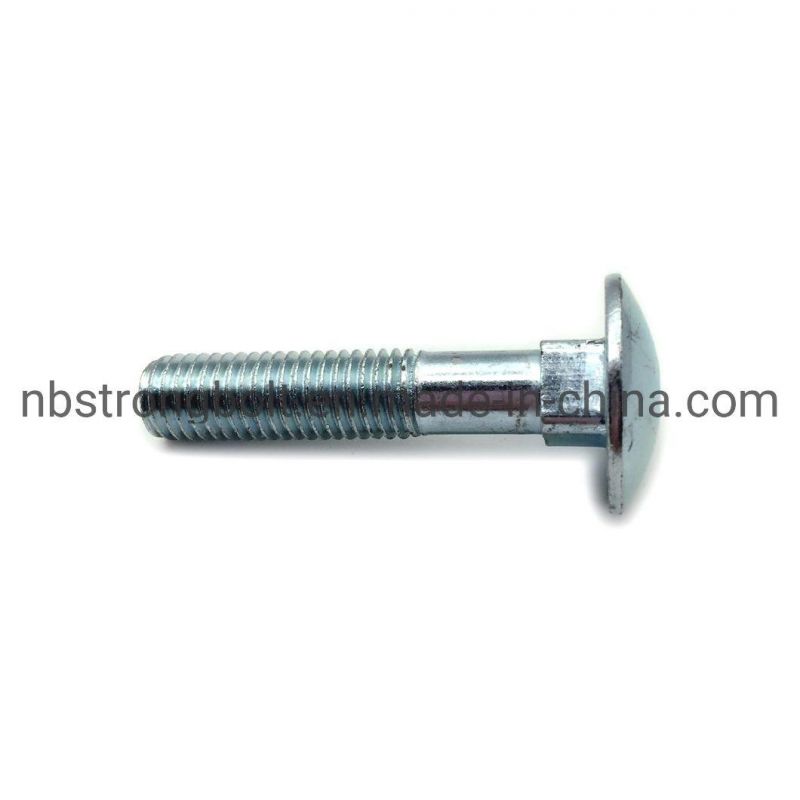 Carriage Bolt From China