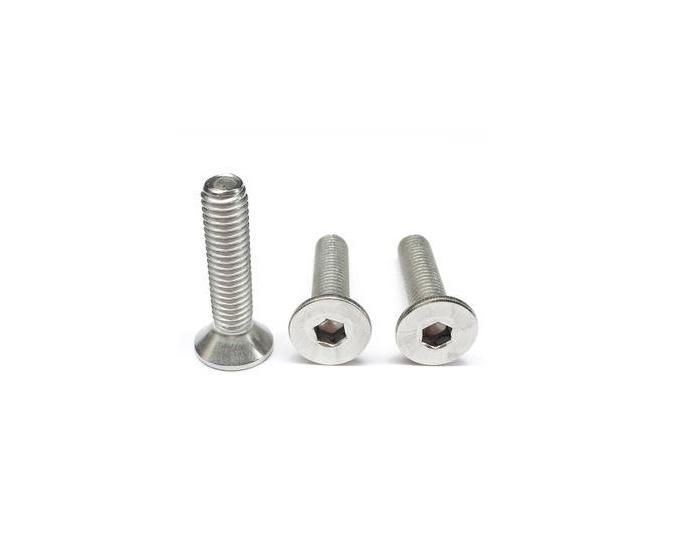 Stainless Steel Countersunk Head Hexagon Socket Screw and Flat Head Screw