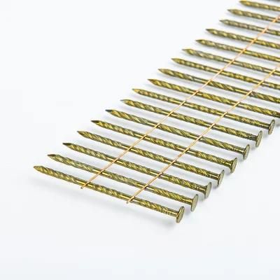 Net Head Coil Nails Wholesale