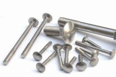 High Quality Head Screw Round Mushroom Head SS304 DIN603 Bolt