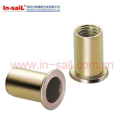 Auto Spare Parts Flat Head Knurled Rivet Nut with Hole